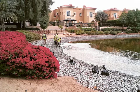 Artificial Lake / Pond Cleaning